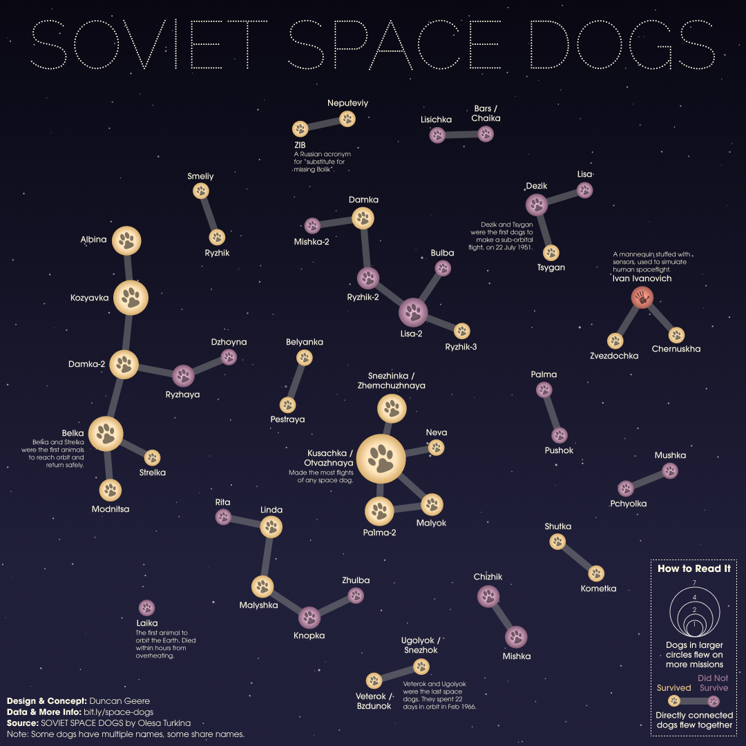 Space Dogs